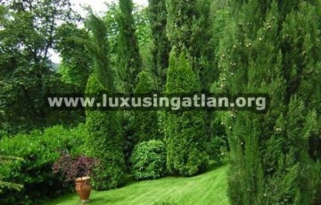 Budapest XI. kerület Eladó Ház Gellért-hegyen