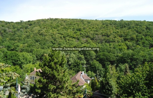 Budapest II. kerület Eladó Ház