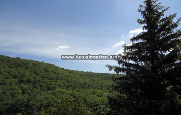 Budapest II. kerület Eladó Ház