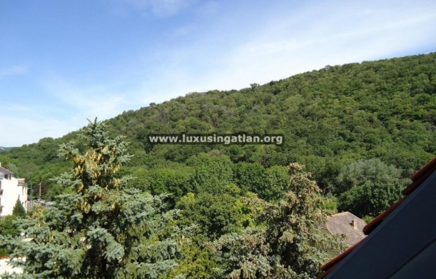 Budapest II. kerület Eladó Ház