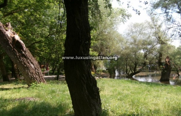 Budapest III. kerület Eladó Ház