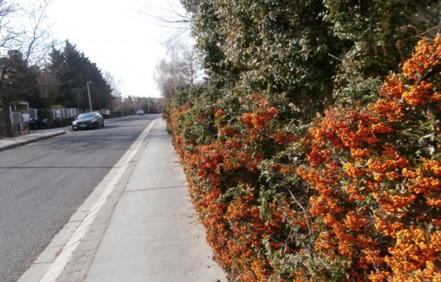 Budapest II. kerület For sale Flat