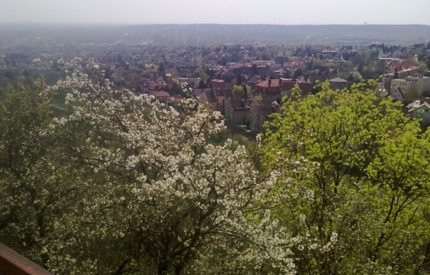 Budapest XI. kerület Eladó Ház