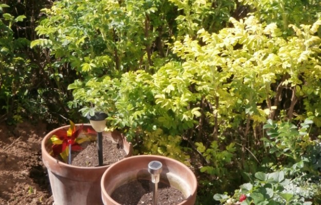 Budapest XI. kerület Eladó Lakás