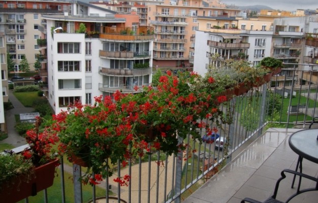 Budapest XI. kerület Eladó Lakás