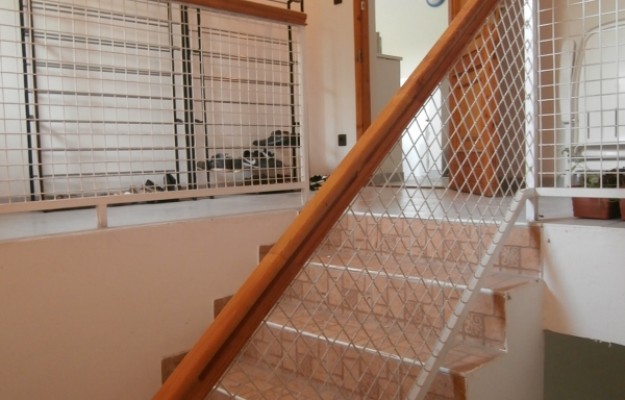 Törökbálint Eladó Ház