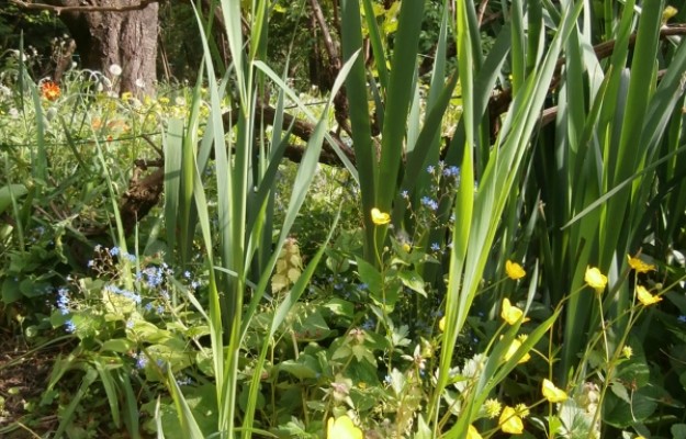 Törökbálint Eladó Ház