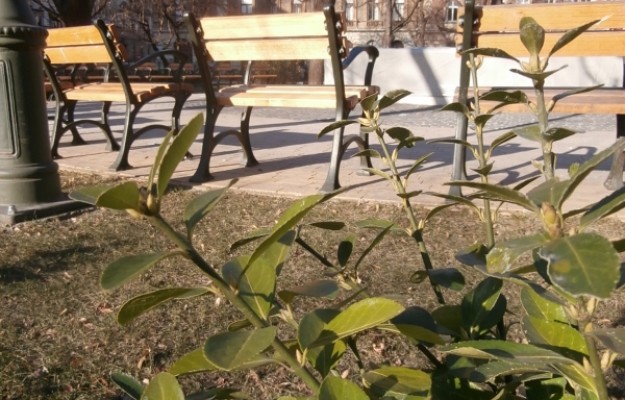 Budapest VI. kerület Eladó Lakás