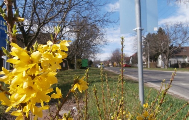 Törökbálint Eladó Ház