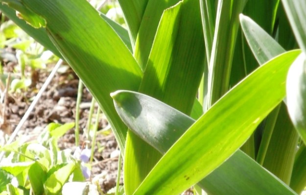 Törökbálint Eladó Ház