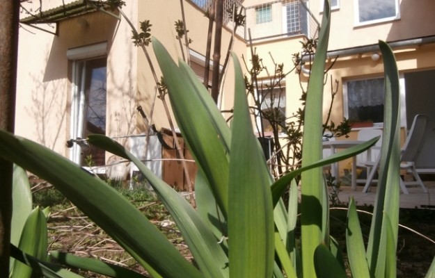 Törökbálint Eladó Ház