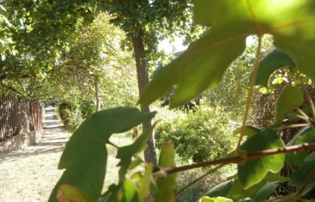 Budapest XI. kerület Eladó Lakás