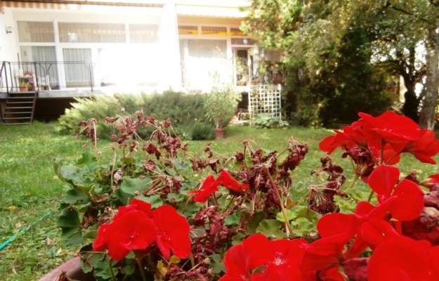 Budapest II. kerület Eladó Lakás