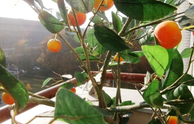 Budapest II. kerület Eladó Lakás