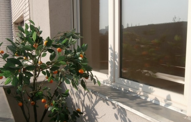 Budapest II. kerület Eladó Lakás