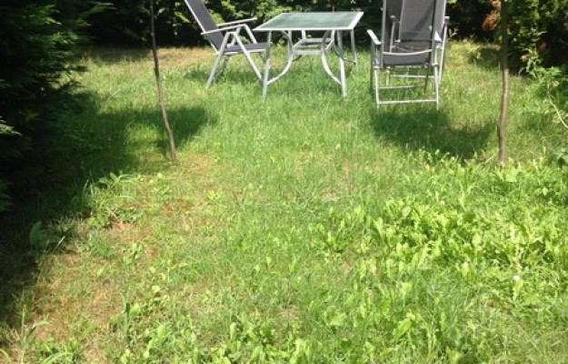 Budapest XI. kerület Eladó Lakás