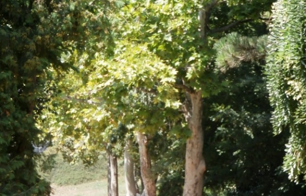 Budapest I. kerület Eladó Lakás