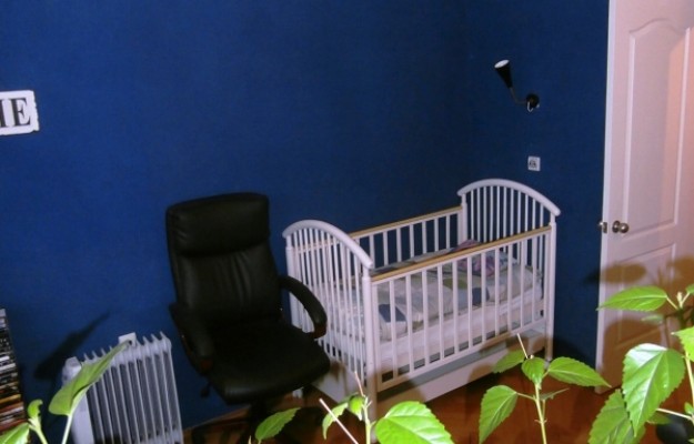 Budapest XI. kerület Eladó Ház