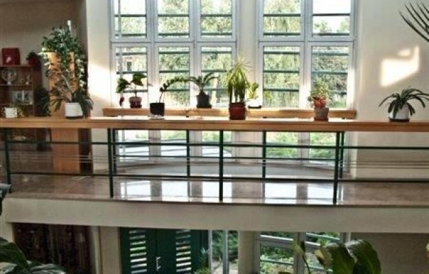 Budapest III. kerület Eladó Üzlethelyiség