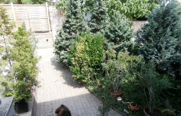 Budaörs Eladó Ház