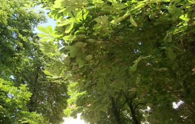 Budaörs Eladó Ház