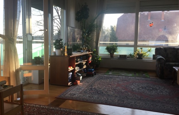 Budapest XI. kerület Eladó Lakás