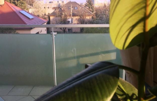 Budapest XI. kerület Eladó Lakás